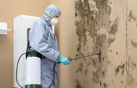  Rockport, IN Mold Removal Pros